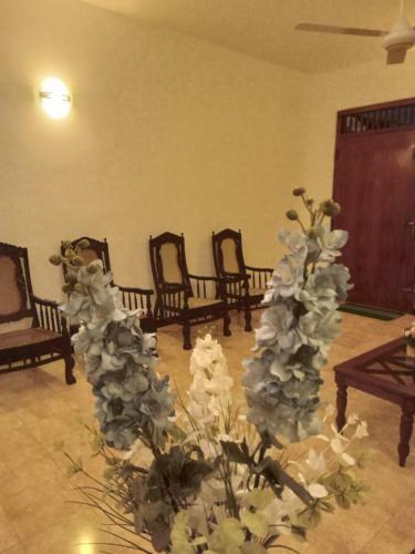Bed & Breakfast Sky Bloom
