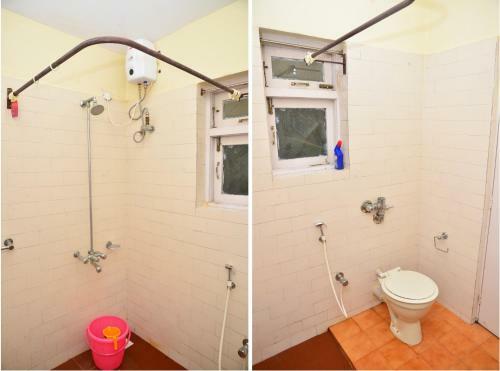 Green Rover 1 Bhk Apartment