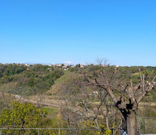 La Casa Al Colle