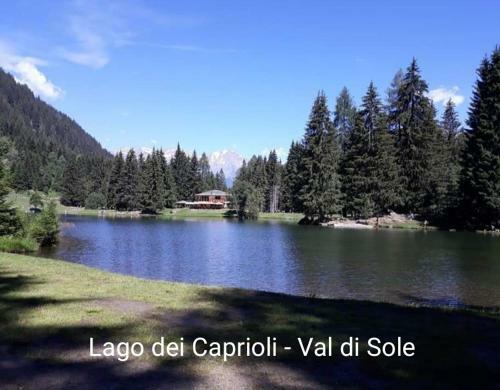 Apartamento Casa "berto E Costantina" Cipat 52085