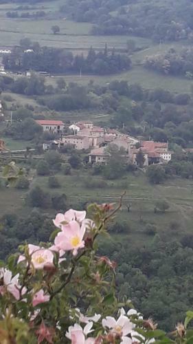 Apartamento Casa Finetti