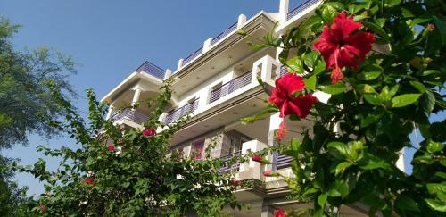 Hostal Ibishouse Farm Stay