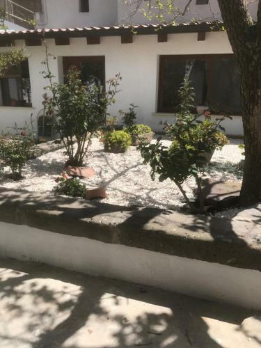 Apartamento Casa Anastasia
