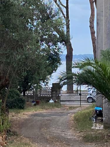 Apartamento Fringiul� House