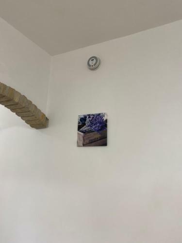 Apartamento Fringiul� House
