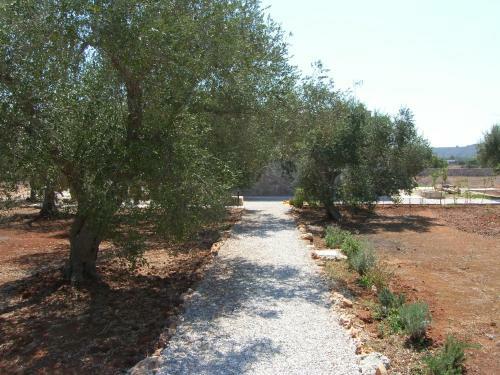 Tenuta Miliceddu