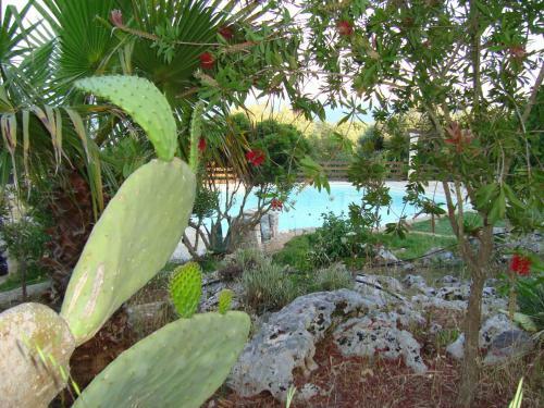 Villa Del Mito - Blue Marine