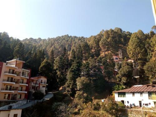 Apartamento Nature View Penthouse - Bhowali