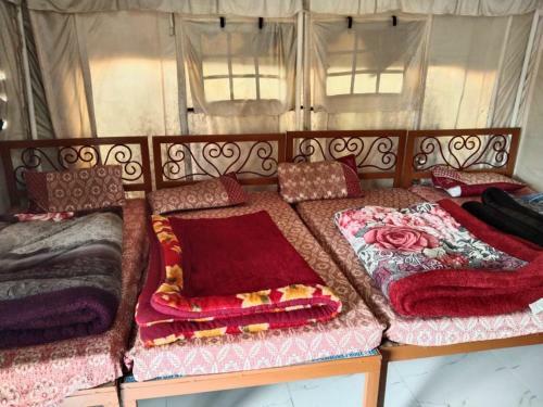 Vatika Jungle Camps & Adventure Park