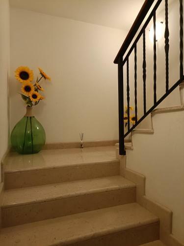 Trieste House