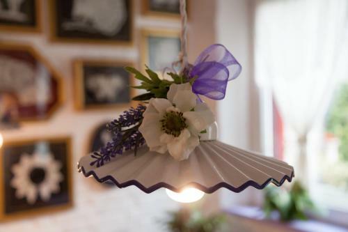 Bed & Breakfast Canova