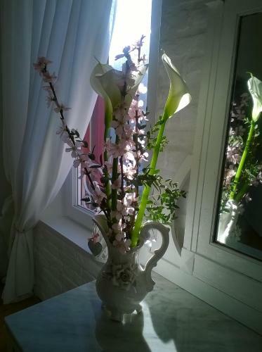 Bed & Breakfast Canova
