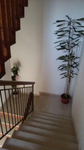 Apartamento Casa Per Venezia&treviso