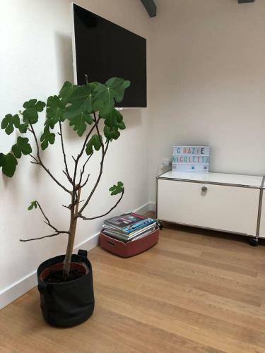 Buonconsiglio Apartment