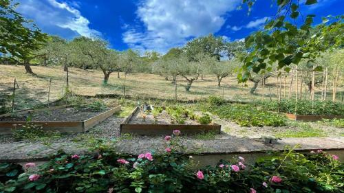 Spoleto Enchantedexc Pool, Gardens Villaaircon