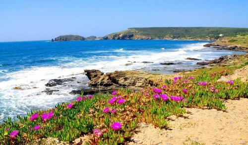 Agroturismo Su Sattisceddu