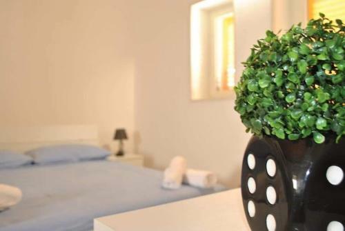 Hostal Masseria Capece