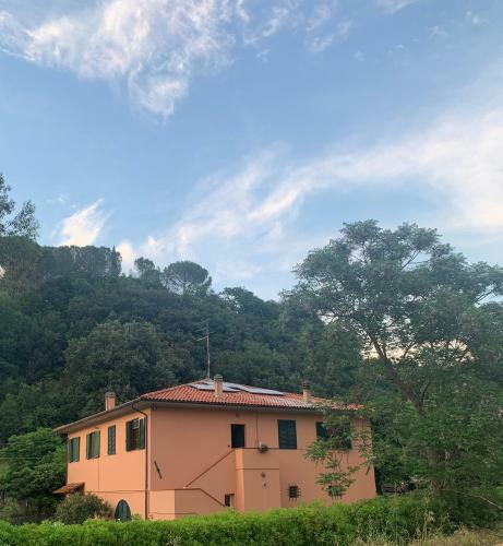Commuoversi Ssa - Azienda Agricola