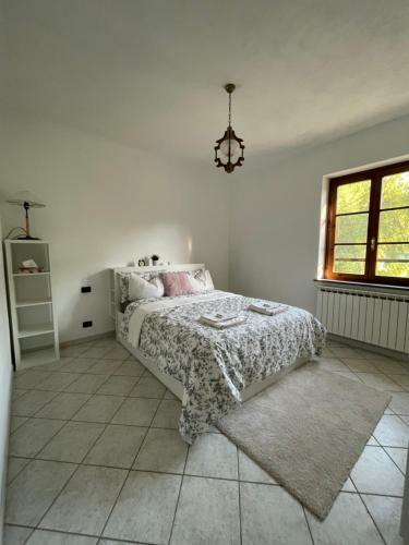 Commuoversi Ssa - Azienda Agricola