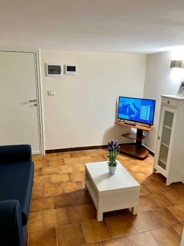 Apartamento Mini Coccola