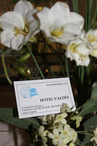Hotel Vald�s