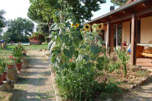 Apartamento Piccolo Eden