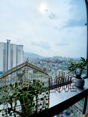Apartamento Dg House