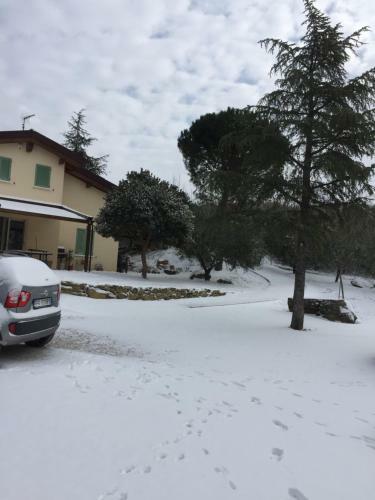 Casa Vacanze Le More