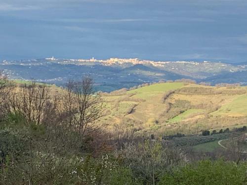 Casa Vacanze Le More