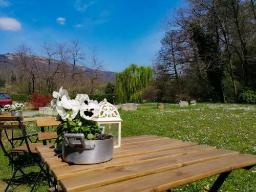 Bed & Breakfast Cordana