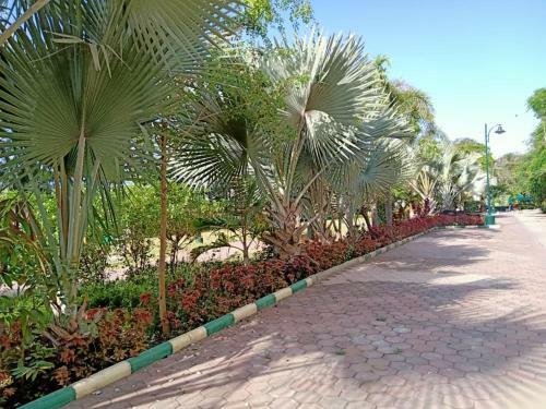 Blue Sky Home Stay, 3 Bedroom Apartment