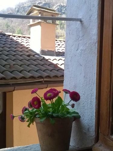 Hostal Al Vicolo Del Gallo