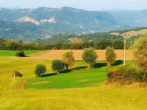 Bed And Breakfast Balli Coi Lupi