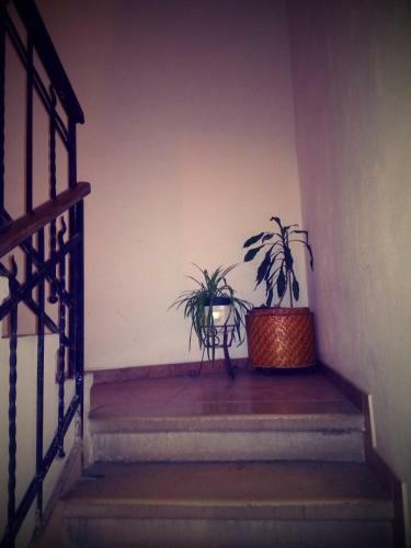 Apartamento La Casa Di Tania