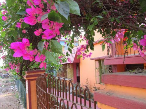 Pubali Homestay
