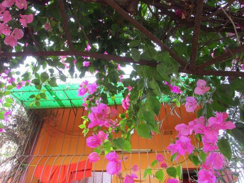 Pubali Homestay