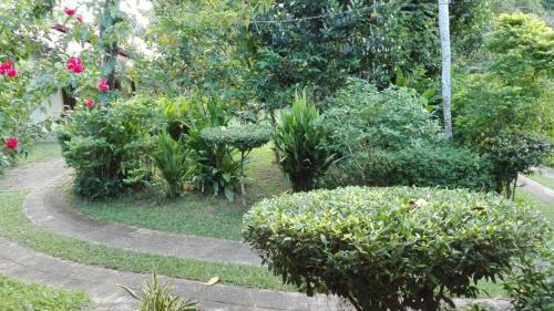 Villa Elisabeth Home Hikkaduwa