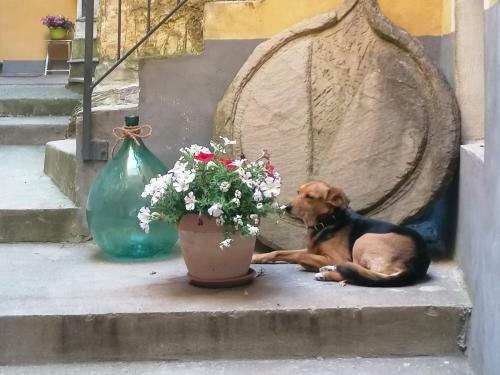 Apartamento Locazione Turistica Azzurro