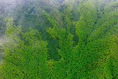 Su Li Hot Spring Garden Villa