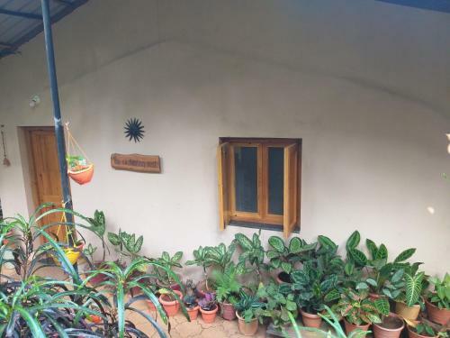 The Enchanting Nest