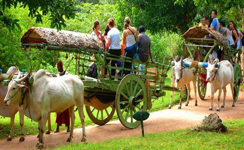 Hostal Hidden Lake Cottages Sigiriya