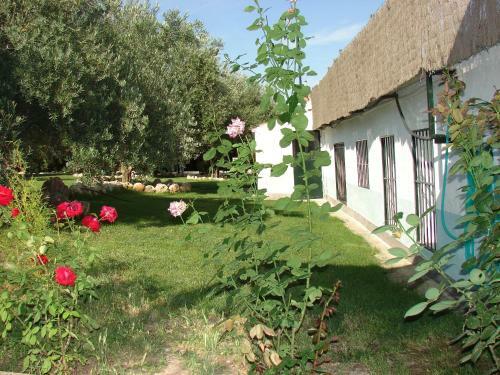 Apartamentos Tur�sticos Los Llanos