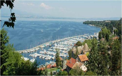 Hotel H�tel Savoie Leman