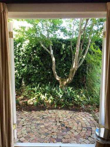 Hostal Guest Suite In Leafy Constantia