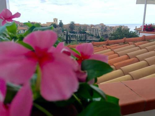 Bed & Breakfast Villa Il Barone