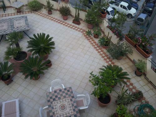 Hostal Casa Franz
