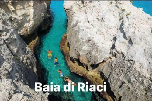 Apartamento Appartamento Baia Riaci