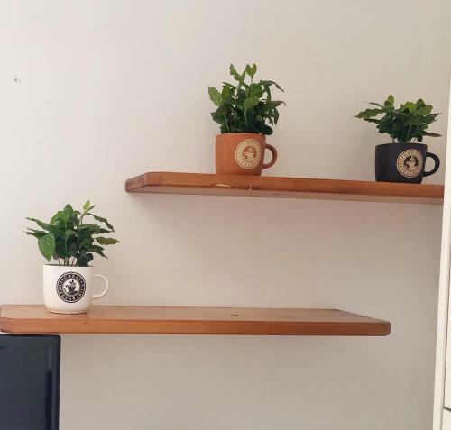 Apartamento Stars Home