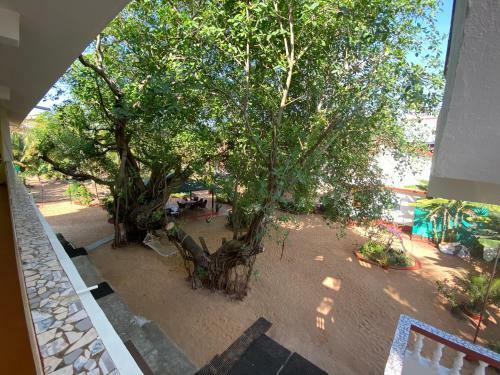Hotel Dmellos Sea View Home
