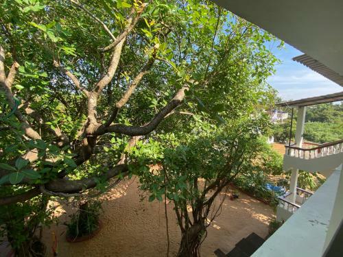 Hotel Dmellos Sea View Home